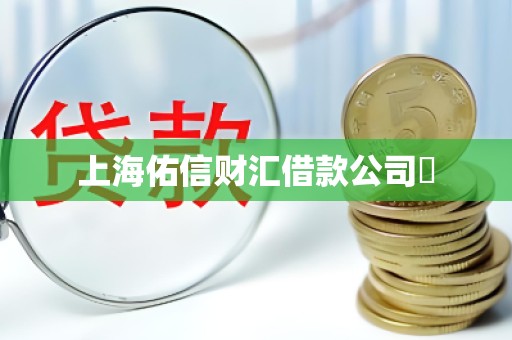 上海佑信财汇借款公司 上海佑信财汇借款公司