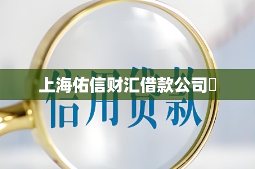 上海佑信财汇借款公司​
