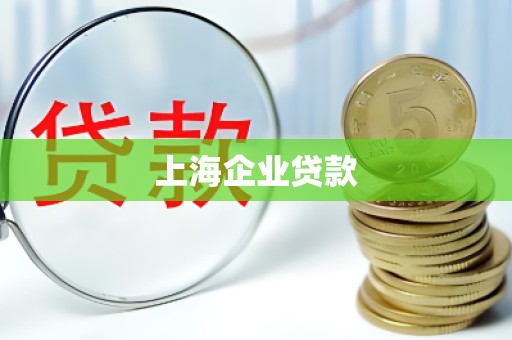 上海企业贷款